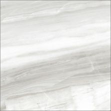 Керамогранит LCM Barcelo Gris 6060BAL15P 600*600*8 полированный