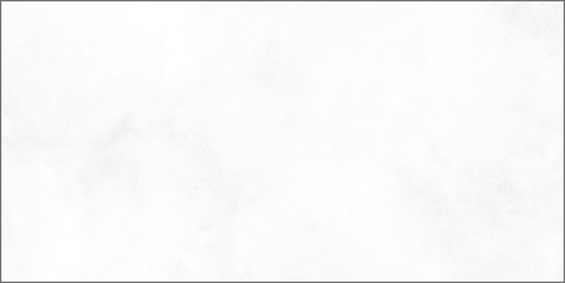 Плитка Newtrend Konor White WT9KON00 249*500*7.5