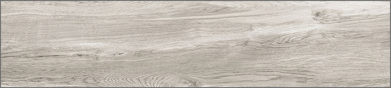 Керамогранит Alma Ceramica Westwood GFA92WTD04R 200*900*9