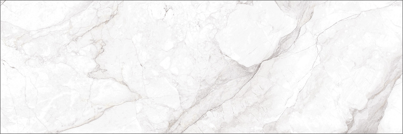 Плитка Delacora Faenza Light 246*740*9.8