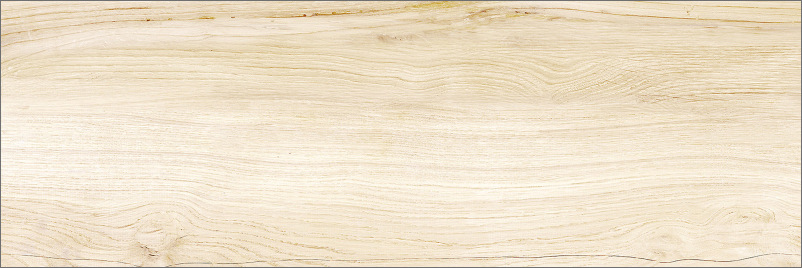 Плитка Delacora Canyon Wood 246*740*9.8