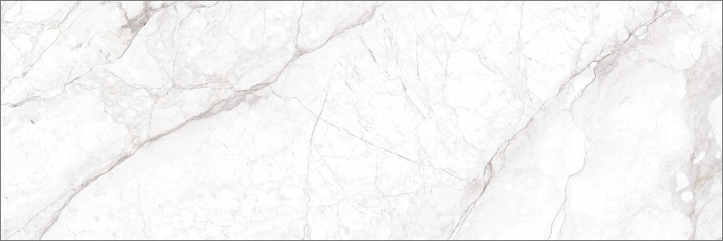 Плитка Delacora Faenza Light 246*740*9.8