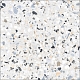 Керамогранит Alma Ceramica Terrazzo GFA57TRZ07L 570*570*8.5 лаппатированная