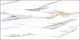 Плитка Alma Ceramica Corsica TWU09CRS014 249*500*7,5 рельефная
